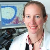 Trial of clozapine, risperidone halted in MS